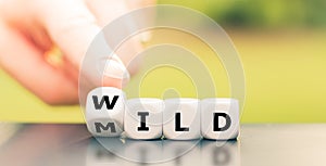 Mild or wild? Hand turns dice and changes the word `mild` to `wild`.