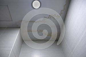 Mildew stains at ceiling photo