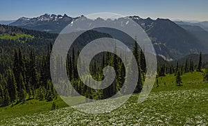 Mildred Point, Mt Rainier National Park, WA.