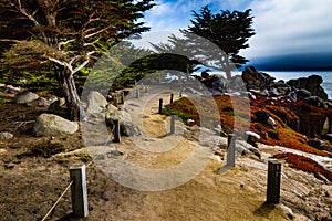 17 Mile Drive, Carmel, California photo