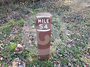 mile marker 54 or post in ground with grass
