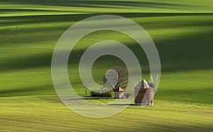 The mile in the middle of the green fields of Moravia, Cech Republic.