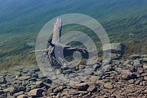 Miles canyon, in the Yukon river near Whitehorse