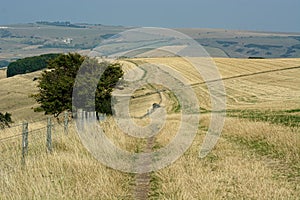 South Downs Way. Long distance walking Path. Sussex, UK