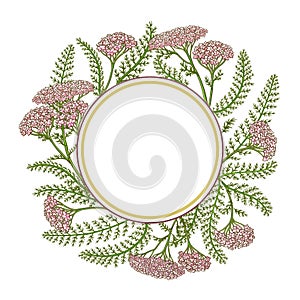 Milfoil vector frame