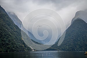 Milford Sound