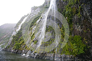 Milford Sound - fiord in the south west of New Zealand`s South Island within Fiordland National Park, Marine Reserve, and the Te W