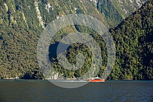 Milford Sound in Fiordland National Park in south island,New Zealand during Morning