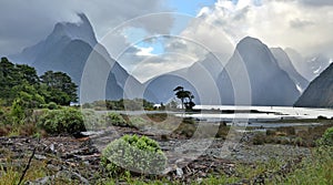 Milford Sound (Fjordland, New Zealand)