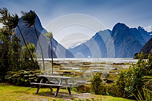 Milford Sound landscape