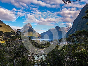 Milford Sound Landscape in New Zealand