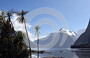 Milford Sound at low tide