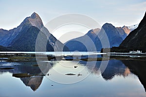 Milford sound, New Zealand