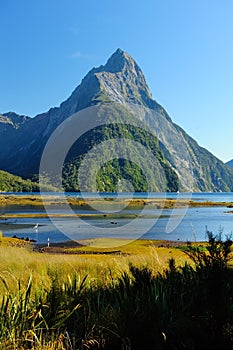 Milford sound, New Zealand