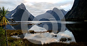 Milford Sound New Zealand