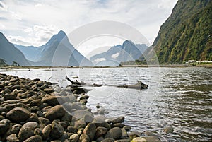 Milford Sound New Zealand South Island