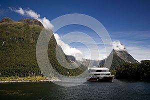 Milford Sound Tour