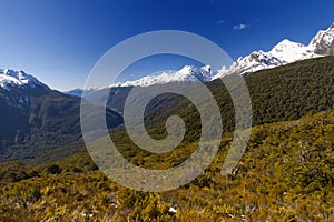 Milford Sound Valley