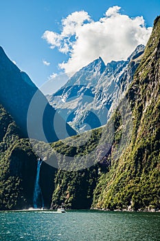 Milford sounds (5)