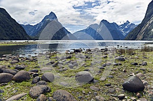 Milford sounds new zealand fjords