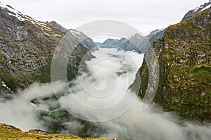 Milford track fog valley, New Zealand photo