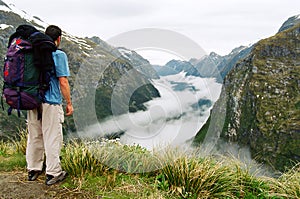 Milford track fog valley, New Zealand photo