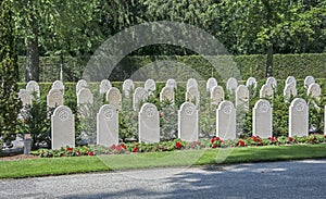 Militairy cementry in Holland