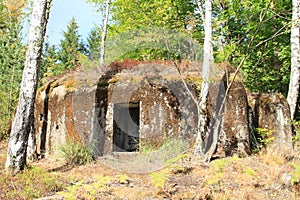 Military bunker hidden in forest