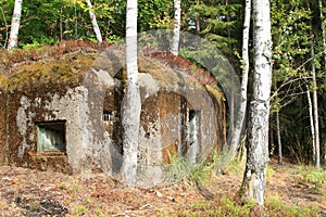 Military bunker hidden in forest