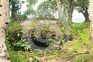 Military bunker hidden in forest