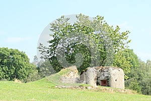 Military bunker hidden on meadow