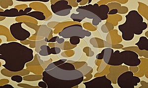 Military camouflage background