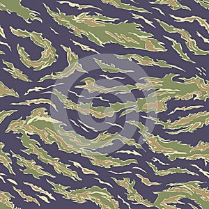 Military Camouflage Textile Pattern