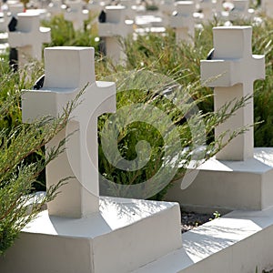 Military cemetery