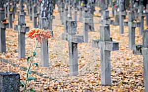 Military Cemetery photo