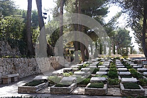Military cemetery