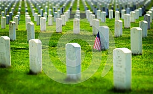 United States Military Cemetery with Headstones for Soldiers