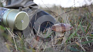 Military in a chemical protection suit measures the background radiation of mushrooms on the road, dosimetry equipment