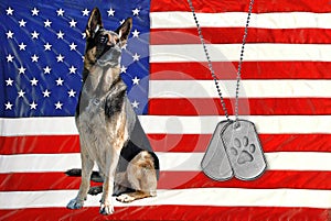 Military Dog Tags With Dog On Flag