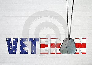 Military dog tags for veteran tribute