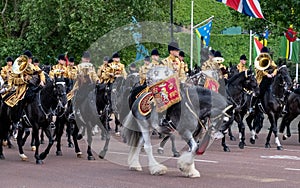 Military drum horse and other cavalry taking part in the Trooping the Colour military parade, London UK