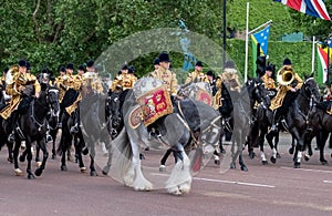 Military drum horse and other cavalry taking part in the Trooping the Colour military parade, London UK