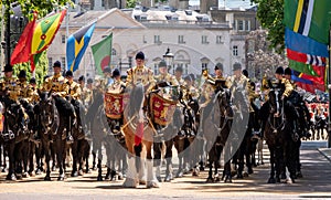 Military drum horse taking part in the Trooping the Colour military parade at Horse Guards, Westminster, London UK