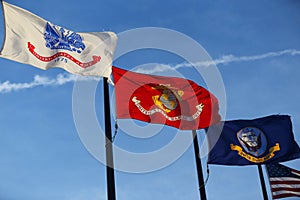 Military flags of the United States