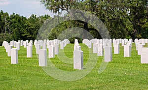 Military Graves photo