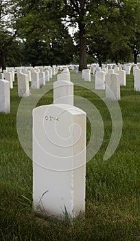 Military Gravestone
