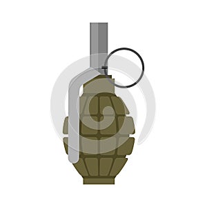 Military Grenade green. Army explosives. Soldiery ammunition. Wa