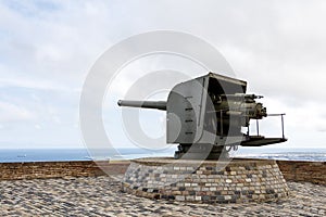 Military Gun