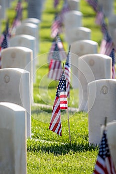 Military Headstones and Gravestones Decorated With Flags for Memorial Day