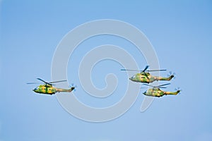 Military helicopters group